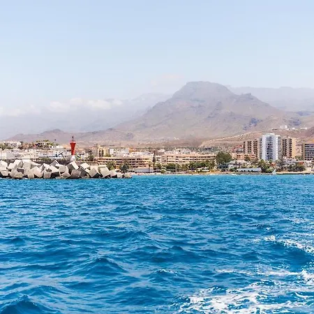 Ocean Nomads Coworking Tenerife Arona (Tenerife)