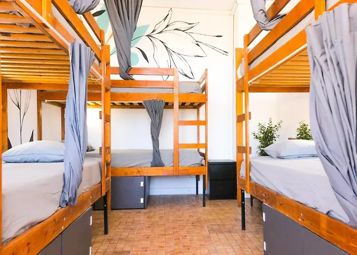 Ocean Nomads Coworking Tenerife Hostel Arona (Tenerife)