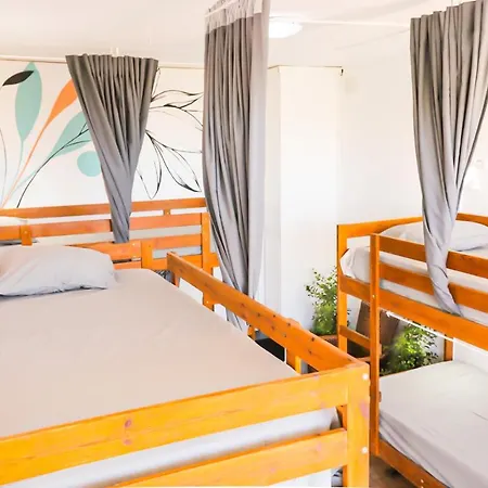 Ocean Nomads Coworking Tenerife Auberge de jeunesse *